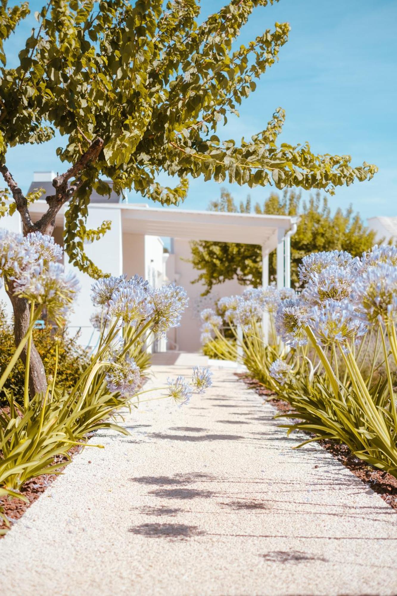 Iconica Luxury Suites Alberobello Esterno foto